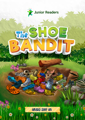 THE SHOE BANDIT