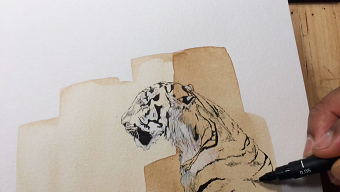 Various Artworks