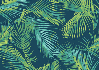Fern Project