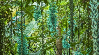 How we immersed users in the beauty of science and nature