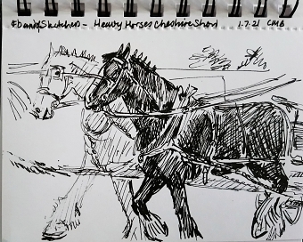 Heavy horses
