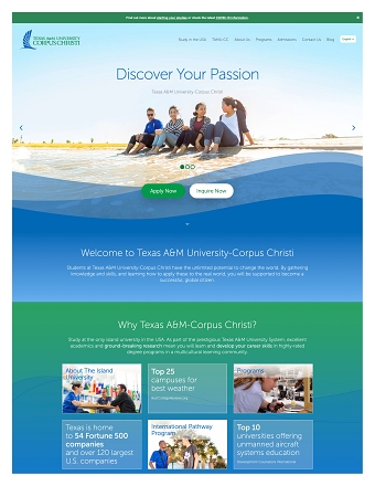 New partner launch - website and brochure development