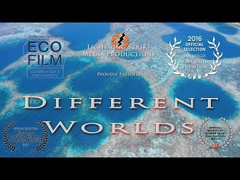 Different Worlds