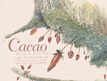 CACAO