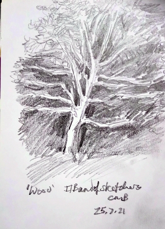 Wood