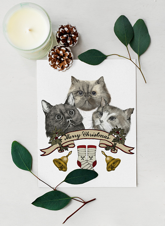 B&S | A very quirky Christmas