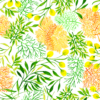 Herbal Garden