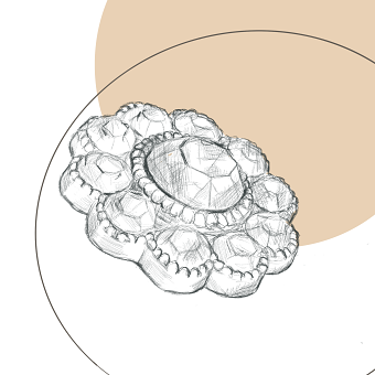 Buttons sketches