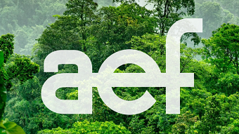 African Energy Forum Animations