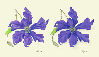 Botanical Study