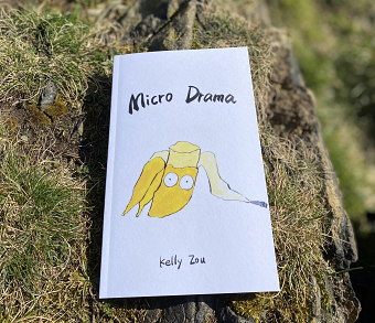 Micro Drama - Published Book