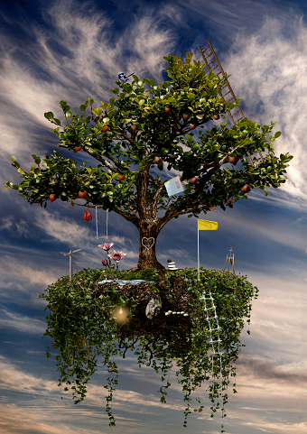 Tree of Life Tablo Studios