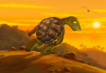 TORTOISE ADVENTURES