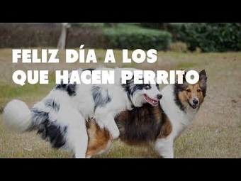 Día del Animal