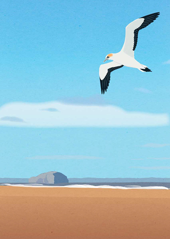 The Gannet and Bass Rock