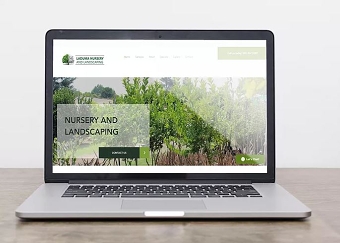 Website Design