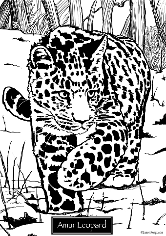 Endangered Animals Colouring Pages