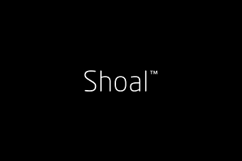 Shoal Consulting