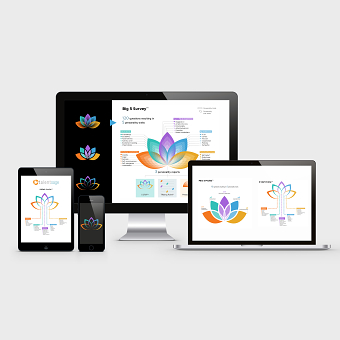 Infographic development for conveying complex data