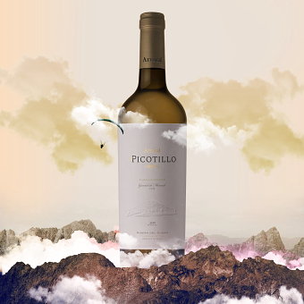 El Picotillo