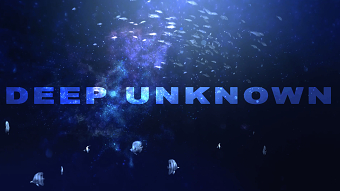 DEEP UNKNOWN