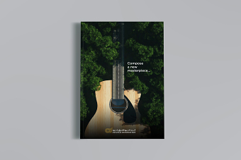 AAIB Annual Report 2020