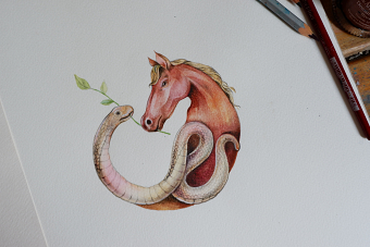 Zodiac Icon : Illustration