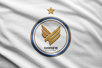Hawkeye Academy team logo