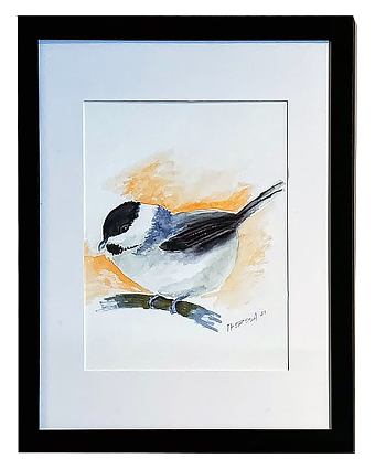 Watercolour Bird Study