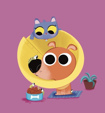 Animals