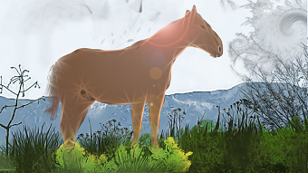horse