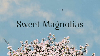 Sweet Magnolias