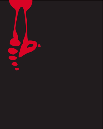 Logo Video