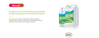 Biocarb
