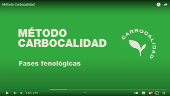 TNF Método Carbocalidad