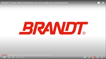Brandt Plant Start