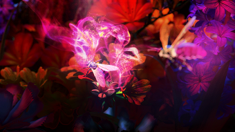 ABSA | Immersive Digital Campaign