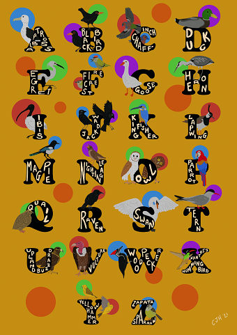 Illustrations