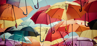 How Distinction increased membership growth and retention rates for BSA.