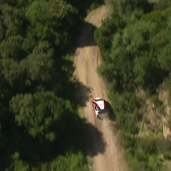 WRC+ 2021 Season