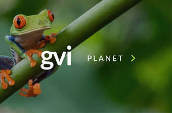 GVI Planet Rebrand