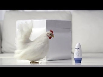 Chicken Skin