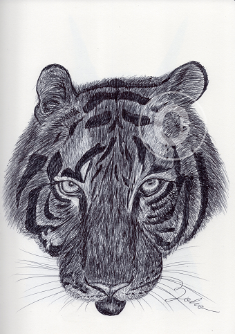 BALLPEN TIGER