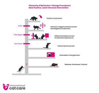 Behaviour-change procedures in cats
