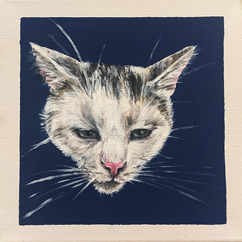 Cat paintings 20x20 Tiny Treasures