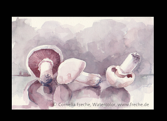 Small Watercolor Pictures