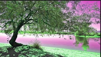 Aguas Botanicas