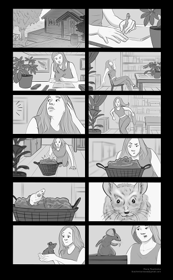 STORYBOARD | Mouse