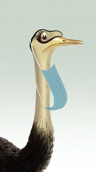 Ostrich