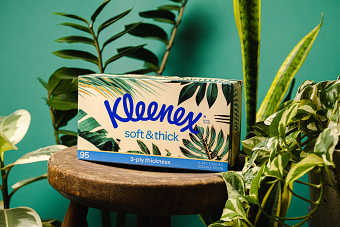Kleene Tissue Box Design